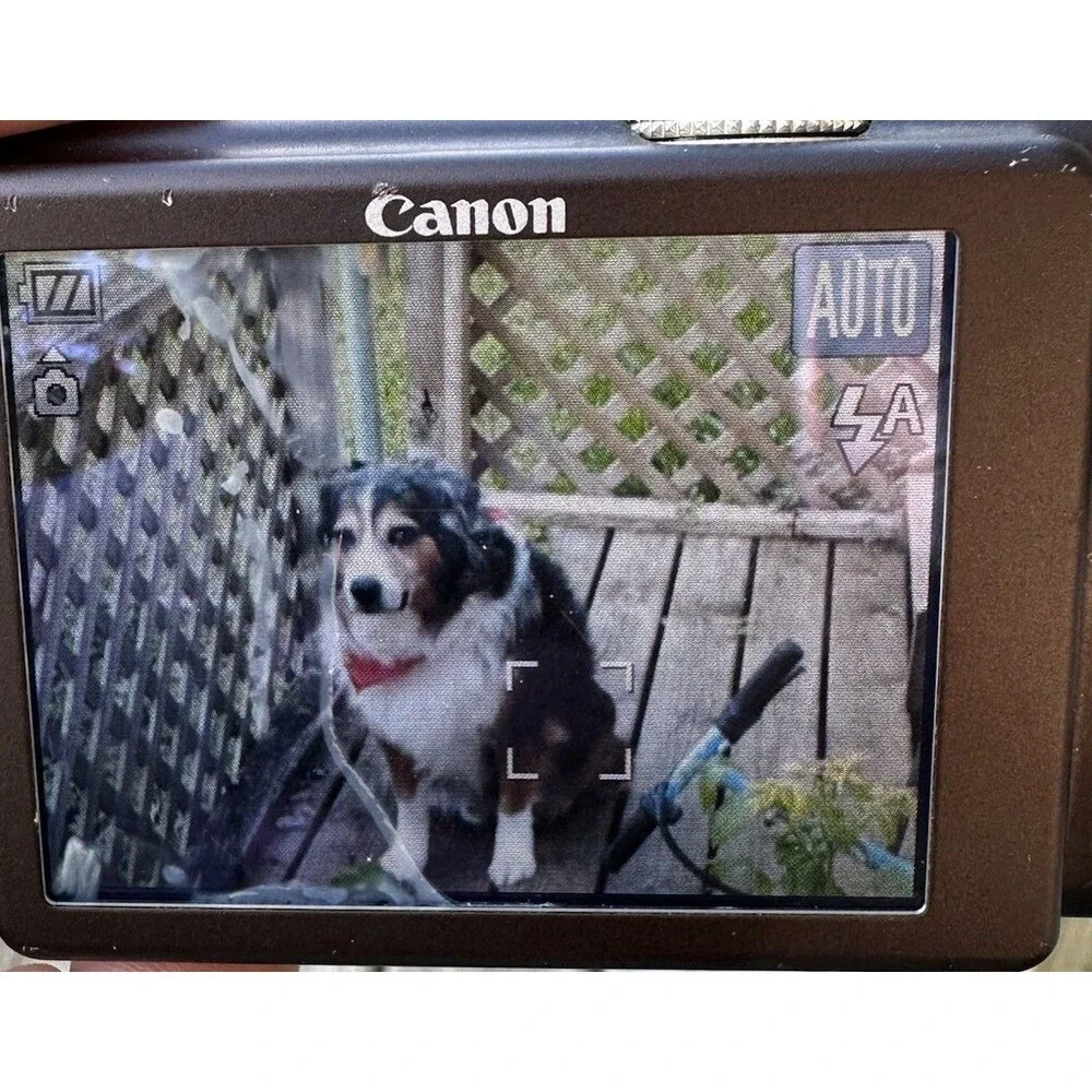 Canon PowerShot SX200 IS 12x Optical Zoom 12.1MP Black W Charger Screen Damage